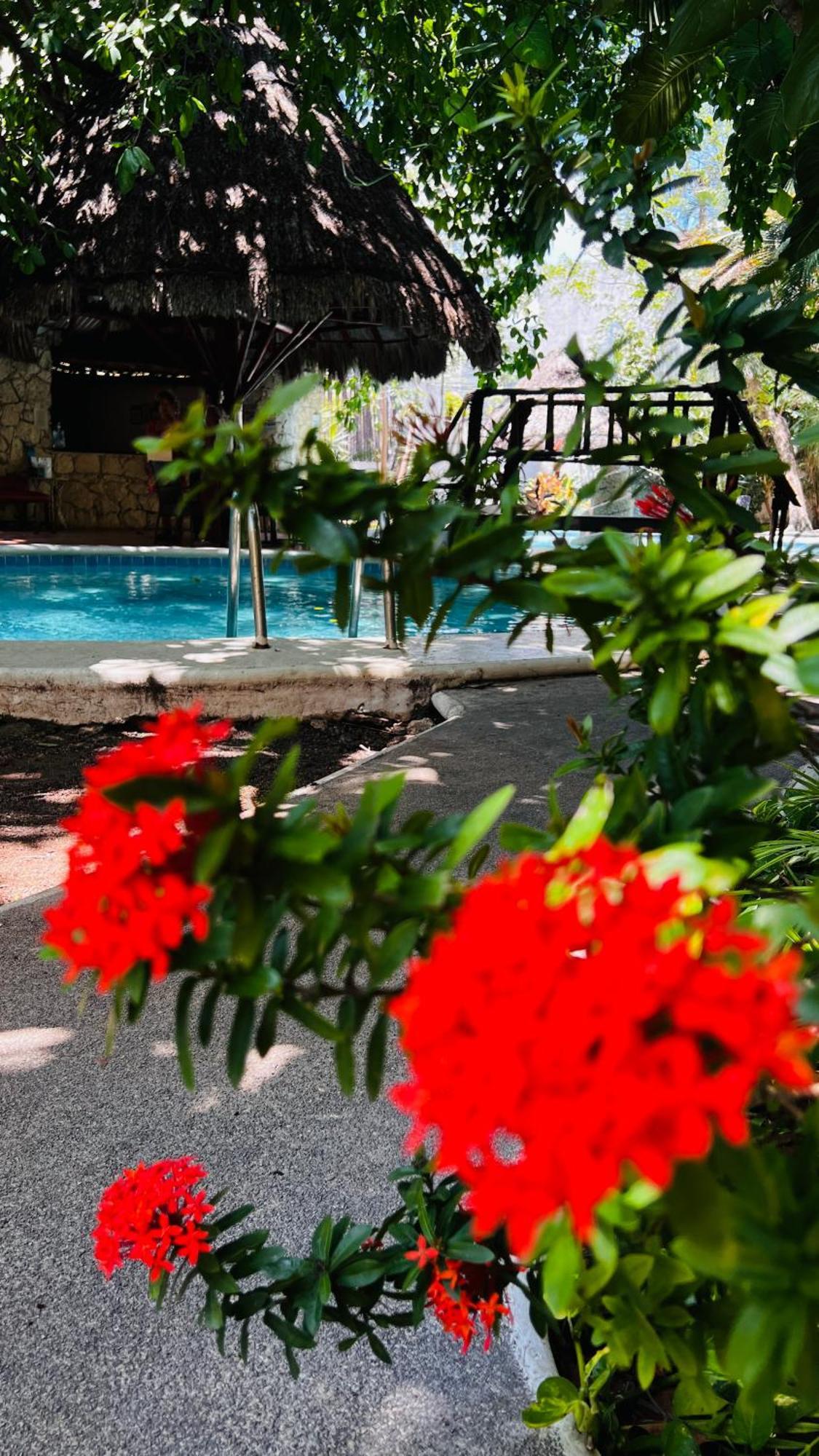 Mayan Art Hotel 10 Avenue 普拉亚卡门 外观 照片